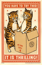 Load image into Gallery viewer, Ravi Zupa Art Print - Have You Tried This!