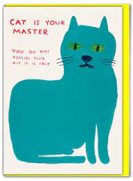 David Shrigley Card, Cat Is You Master