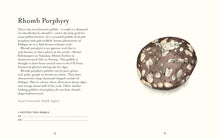 Load image into Gallery viewer, National Trust - Pebble Spotting Guide