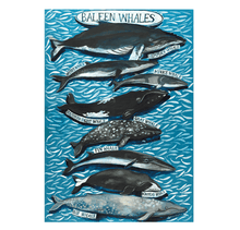 Load image into Gallery viewer, Driftwood Design Large Greetings Card - Baleen Whales