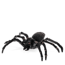 Load image into Gallery viewer, Realistic Tarantula