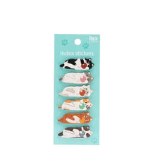 Load image into Gallery viewer, A package of five cat-shaped index stickers on a light blue backing card. The stickers depict different cat breeds in various poses, with some having black, white, and brown patches and others in solid colors like orange, white, and black.