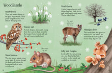 Load image into Gallery viewer, Mini Activity Book - Things To Spot In Winter