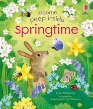 Load image into Gallery viewer, Peep Inside Springtime - Board Book