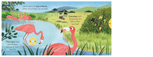 Load image into Gallery viewer, Big Outdoors For Little Explorers - Birds Board Book