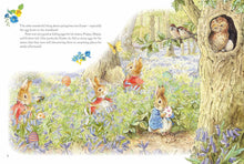 Load image into Gallery viewer, Peter Rabbit Pop Up Book - A Tale Of Four Seasons