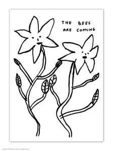 David Shrigley Postcard The Bees Are Coming