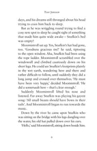 Load image into Gallery viewer, Tales From Moominvalley - Finn Family Moomintroll