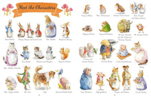 Load image into Gallery viewer, Peter Rabbit Book - Nature Tales