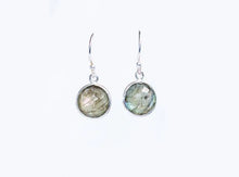 Load image into Gallery viewer, Sterling Silver Hook Earrings - Labradorite