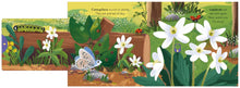 Load image into Gallery viewer, Big Outdoors For Little Explorers - Woods ( Board Book )