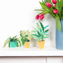 Load image into Gallery viewer, East End Press C5 Greeting Card - Concertina Plant Pot