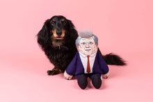 Load image into Gallery viewer, Keir Starmer - Dog toy - Two Sizes