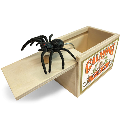 A large black spider can be seen on top of ts wooden box which has an open sliding lid