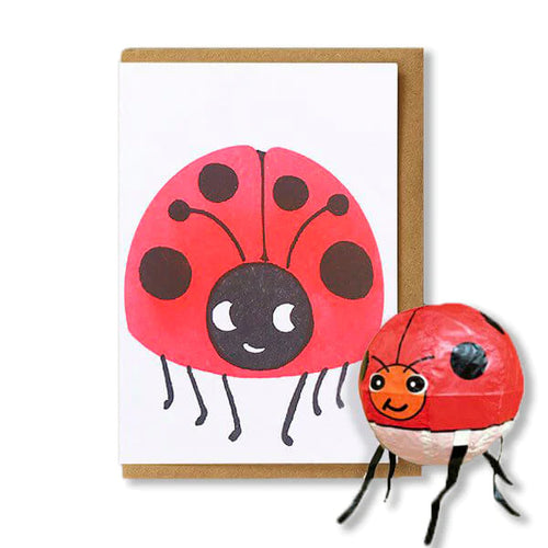 The risograph card od the smiling ladybord can be seen behind an inflated japanese paper ladybird balloon