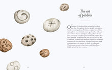 Load image into Gallery viewer, National Trust - Pebble Spotting Guide