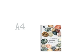 Load image into Gallery viewer, National Trust - Pebble Spotting Guide