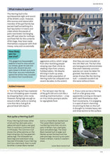 Load image into Gallery viewer, RSPB Everyday Guide to British Birds
