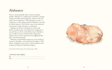 Load image into Gallery viewer, National Trust - Pebble Spotting Guide