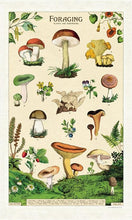 Load image into Gallery viewer, Cavallini &amp; Co. Vintage Tea Towel - Foraging
