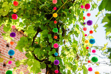 Load image into Gallery viewer, Pom Pom Garland - Fiesta