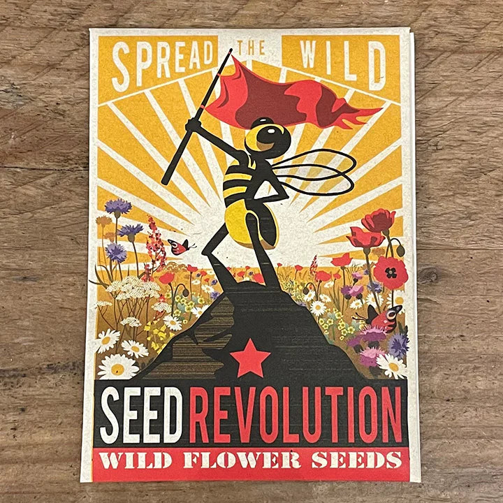 Wild Flower Seeds
