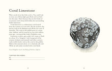 Load image into Gallery viewer, National Trust - Pebble Spotting Guide