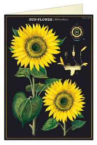 Cavallini & Co. Greeting Card - Sunflower