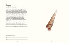 Load image into Gallery viewer, Natural Trust - Shell Spotters Guide