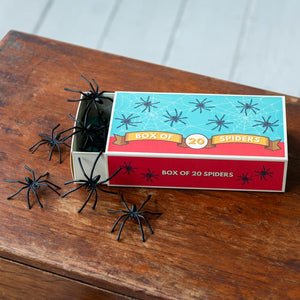 Box of Spiders