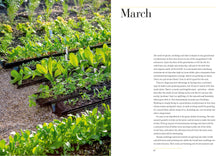 Load image into Gallery viewer, A Year Full of Veg by Sarah Ravens