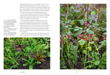 Load image into Gallery viewer, A Year Full of Veg by Sarah Ravens