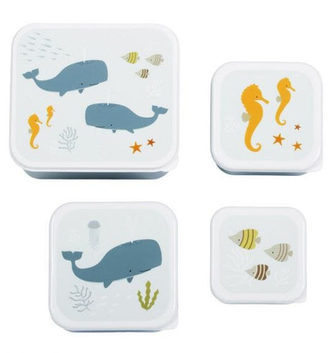 Set of 4 snack boxes with sea creatures on the lid. Whales, seahorses 