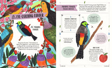 Load image into Gallery viewer, Fly - A Child’s Guide To Birds And How To Spot Them