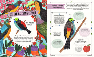 Fly - A Child’s Guide To Birds And How To Spot Them