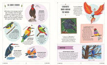 Load image into Gallery viewer, Fly - A Child’s Guide To Birds And How To Spot Them