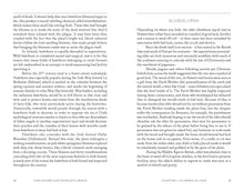 Load image into Gallery viewer, Hidden History Of Flowers