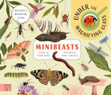 Load image into Gallery viewer, Minibeasts - Including A Magnifying Glass