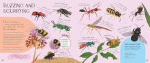 Load image into Gallery viewer, Minibeasts - Including A Magnifying Glass