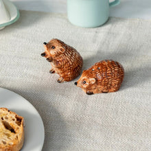 Load image into Gallery viewer, Ceramic Salt & Pepper Shakers - Hedgehog