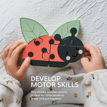 Load image into Gallery viewer, Ladybird Wooden Puzzle