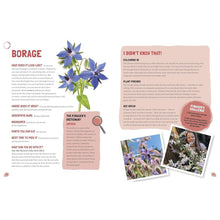 Load image into Gallery viewer, Foraging: The Complete Guide For Kids and Families
