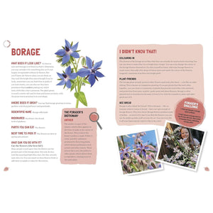 Foraging: The Complete Guide For Kids and Families