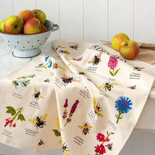 Load image into Gallery viewer, the tea towel is seen on a table with a colander of apples.  Illustrations of different Bees and flowers are illustrated on it, with their names below in small black lettering, giving it the look of a natural world scientific chart.