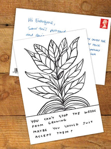 David Shrigley Postcard, You cant stop the Weeds