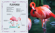 Load image into Gallery viewer, Real Life Mythical Creatures and Their Stories of Survival