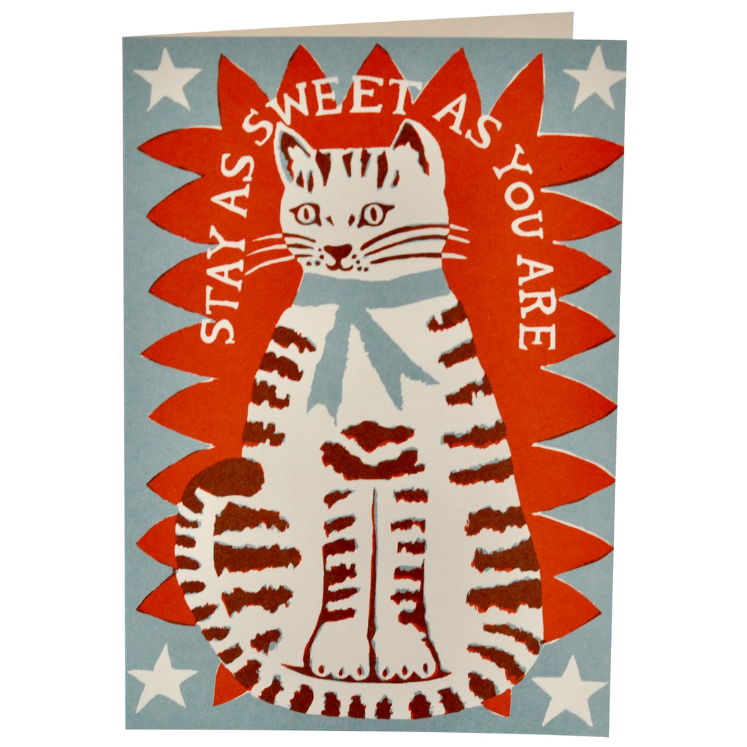 Very Large Card, Sweet Cat by Cambridge Imprint