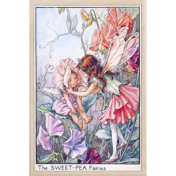 Wooden Postcard - Sweetpea Fairy