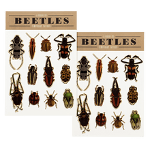 Load image into Gallery viewer, Beetles Temporary Tattoos