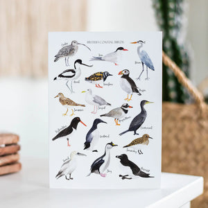 British Coastal Birds Greetings Card
